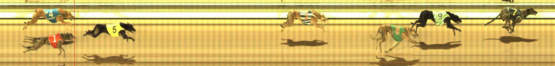 Photo finish for The Meadows Race 12