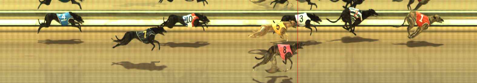 Photo finish for The Meadows Race 2