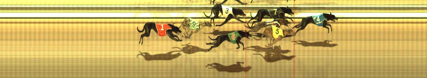 Photo finish for The Meadows Race 7