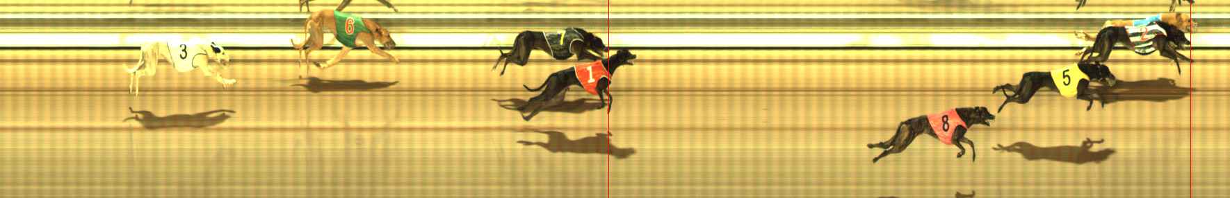 Photo finish for The Meadows Race 8