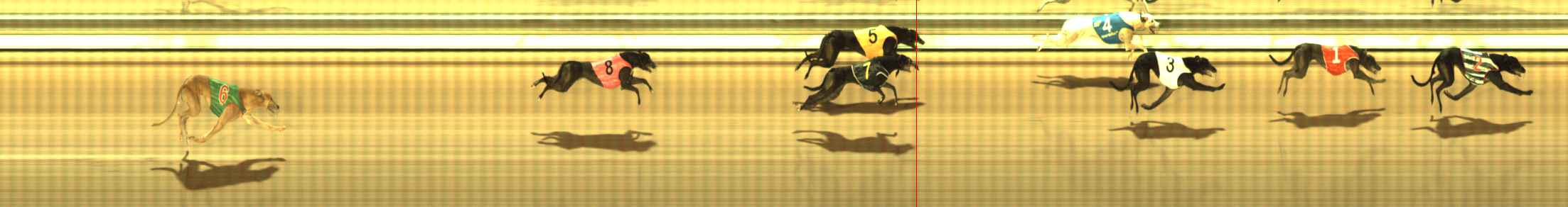 Photo finish for The Meadows Race 9