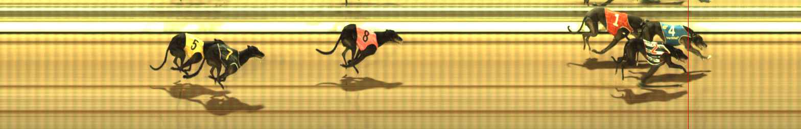 Photo finish for The Meadows Race 10