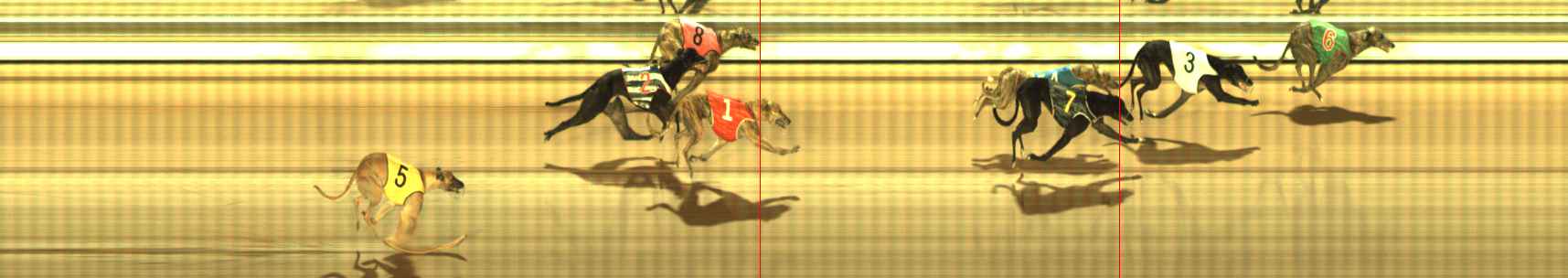 Photo finish for The Meadows Race 11