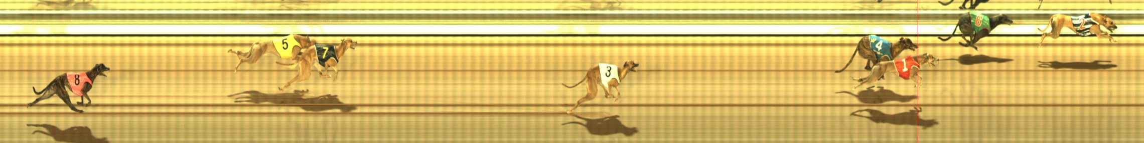 Photo finish for The Meadows Race 12