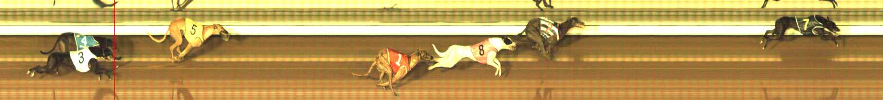Photo finish for The Meadows Race 1