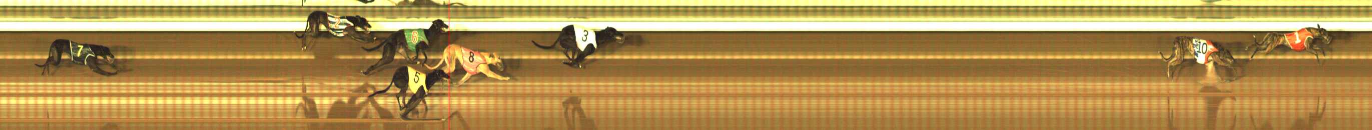 Photo finish for The Meadows Race 2