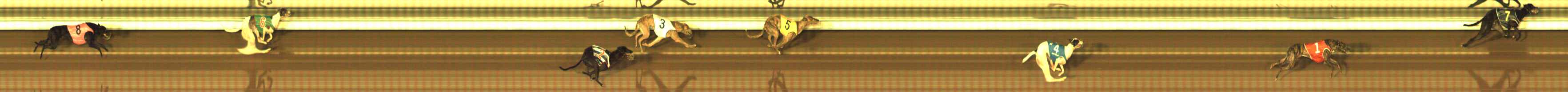 Photo finish for The Meadows Race 3