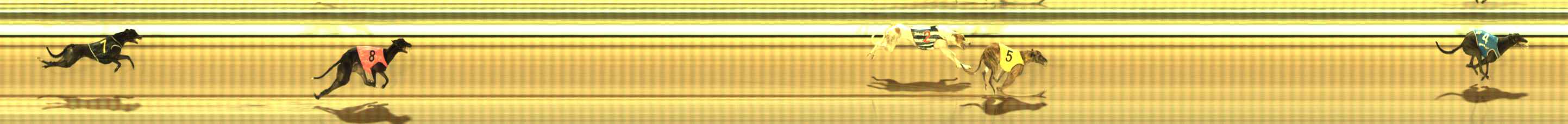 Photo finish for The Meadows Race 4