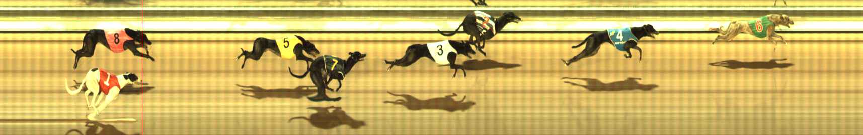 Photo finish for The Meadows Race 5