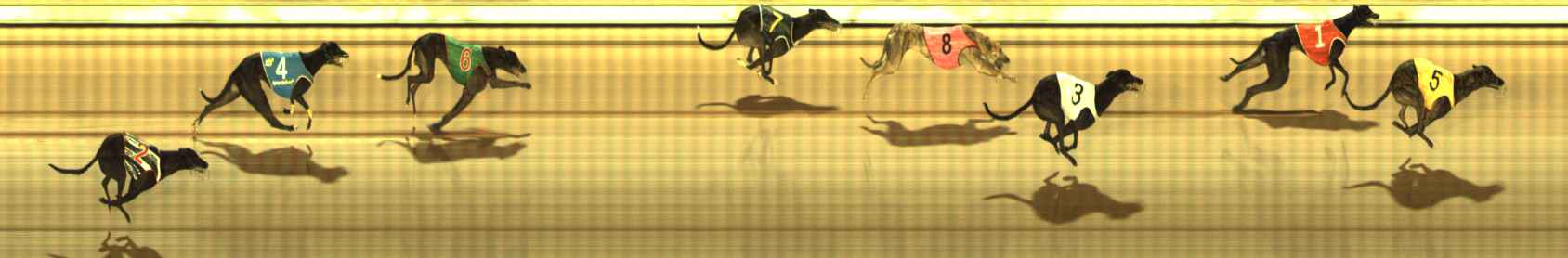 Photo finish for The Meadows Race 6