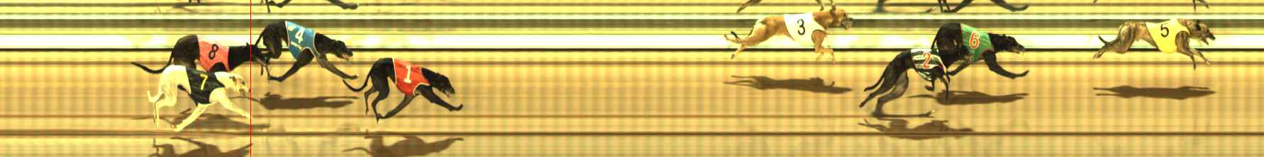 Photo finish for The Meadows Race 7