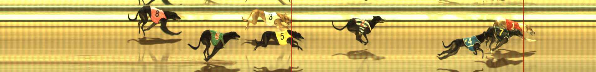 Photo finish for The Meadows Race 8