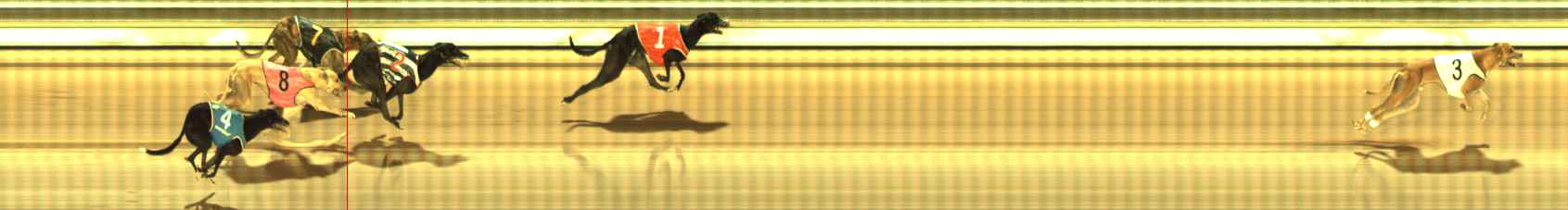 Photo finish for The Meadows Race 9