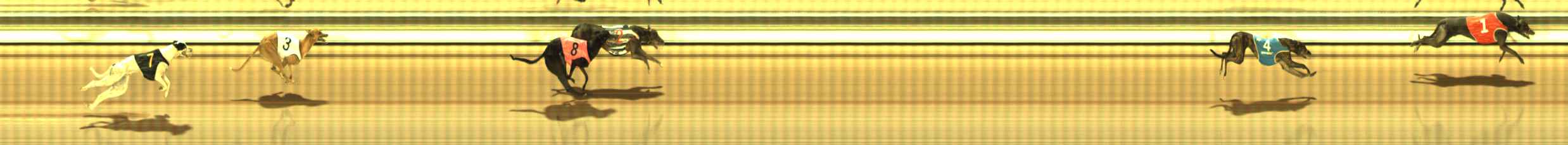 Photo finish for The Meadows Race 10