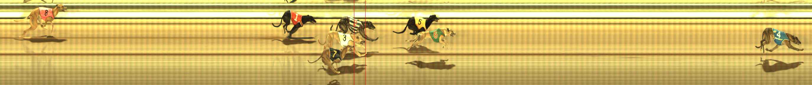 Photo finish for The Meadows Race 12