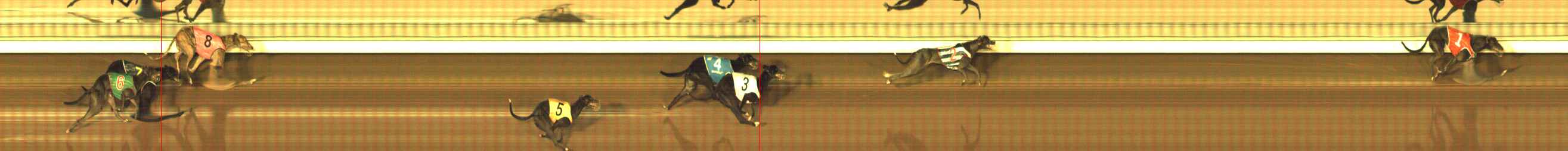Photo finish for The Meadows Race 1