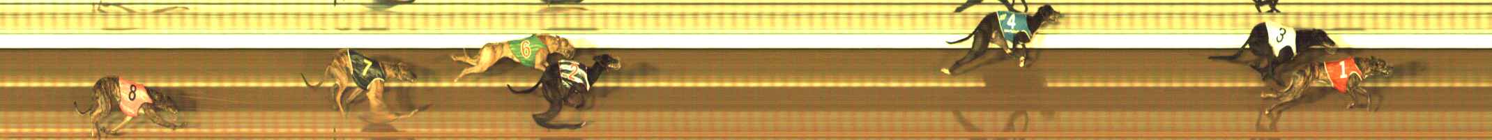 Photo finish for The Meadows Race 4