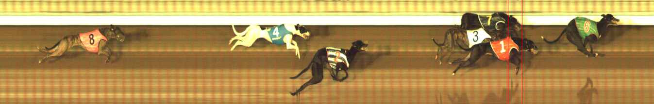 Photo finish for The Meadows Race 5