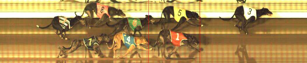 Photo finish for The Meadows Race 6