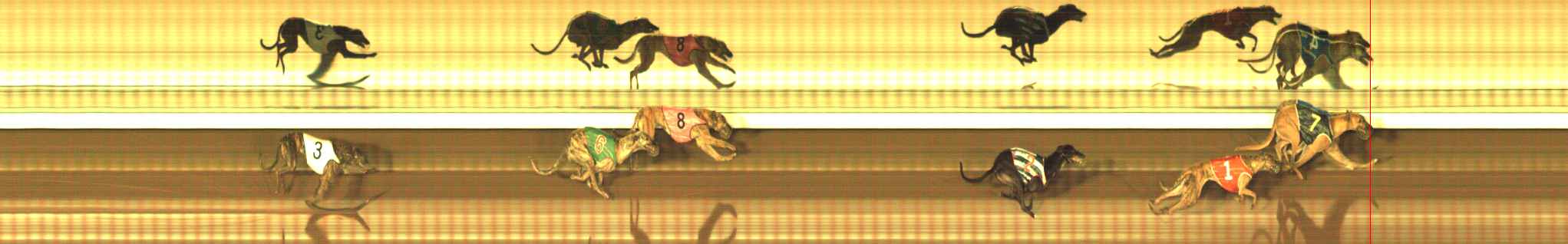 Photo finish for The Meadows Race 7
