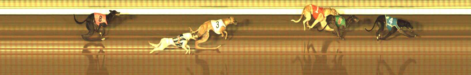 Photo finish for The Meadows Race 8
