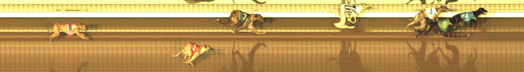 Photo finish for The Meadows Race 11