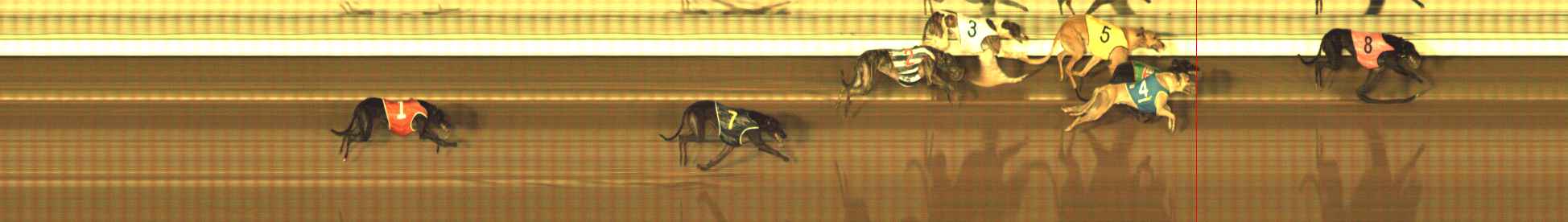 Photo finish for The Meadows Race 12