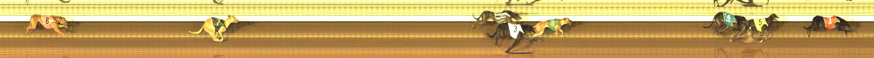 Photo finish for The Meadows Race 1