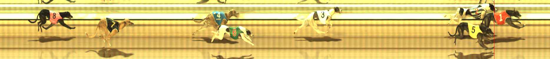 Photo finish for The Meadows Race 2