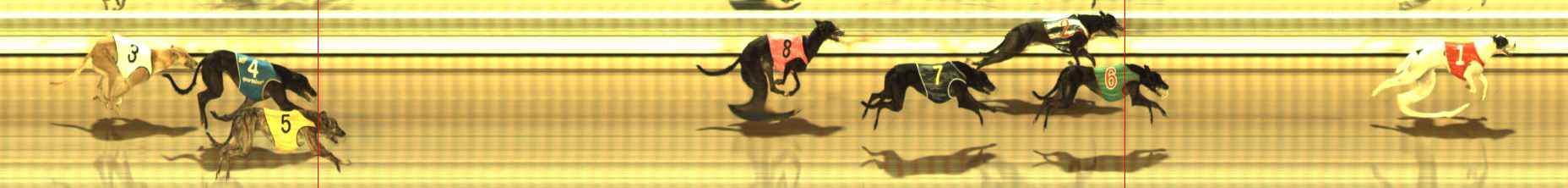 Photo finish for The Meadows Race 3