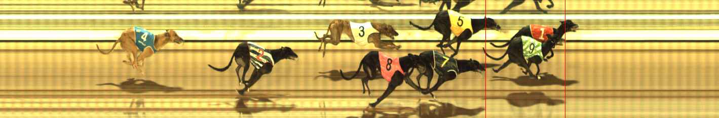 Photo finish for The Meadows Race 4