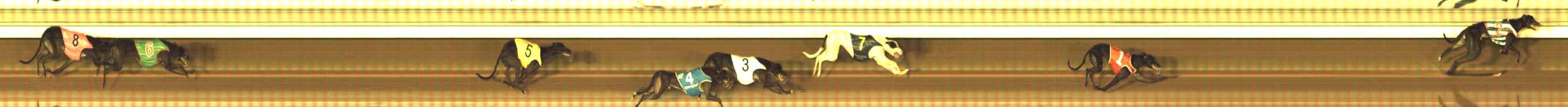 Photo finish for The Meadows Race 5
