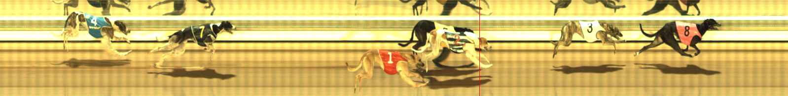 Photo finish for The Meadows Race 6