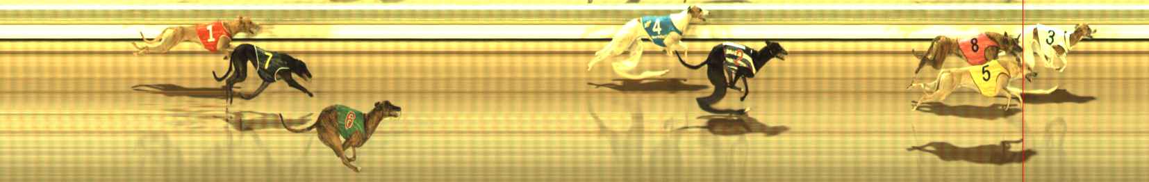Photo finish for The Meadows Race 8