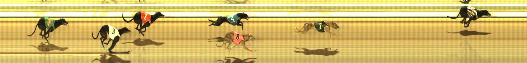 Photo finish for The Meadows Race 9