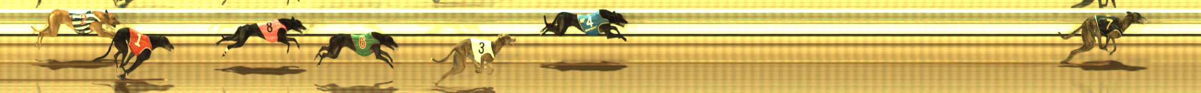 Photo finish for The Meadows Race 10