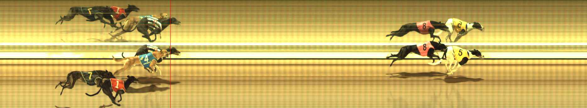 Photo finish for The Meadows Race 11
