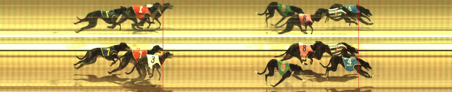 Photo finish for The Meadows Race 12