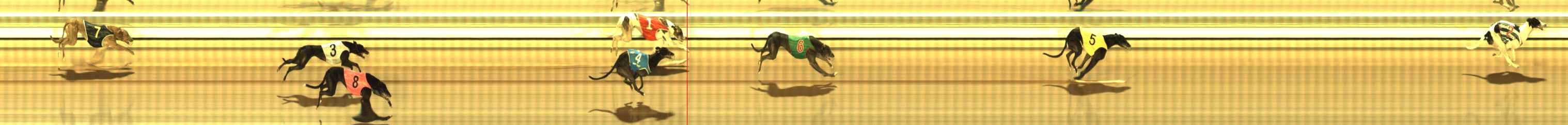Photo finish for The Meadows Race 1
