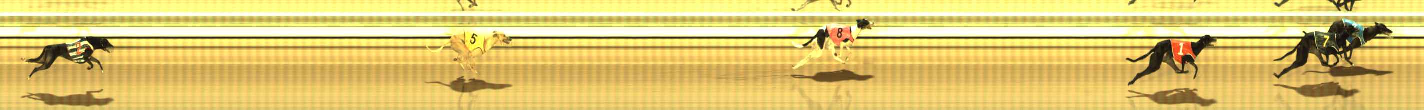 Photo finish for The Meadows Race 3