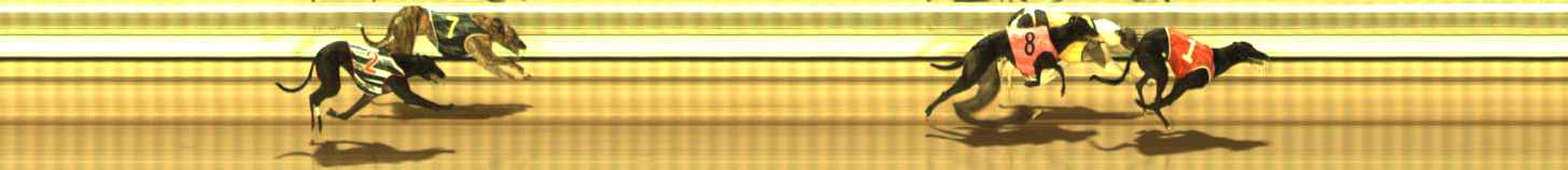 Photo finish for The Meadows Race 4