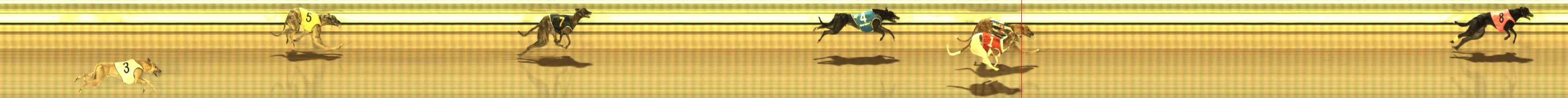 Photo finish for The Meadows Race 5