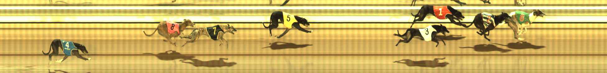 Photo finish for The Meadows Race 9