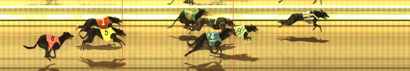 Photo finish for The Meadows Race 10