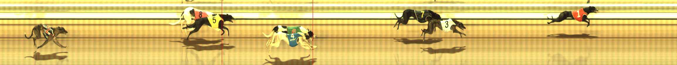 Photo finish for The Meadows Race 11