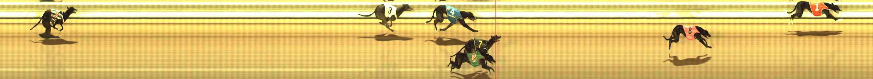 Photo finish for The Meadows Race 1