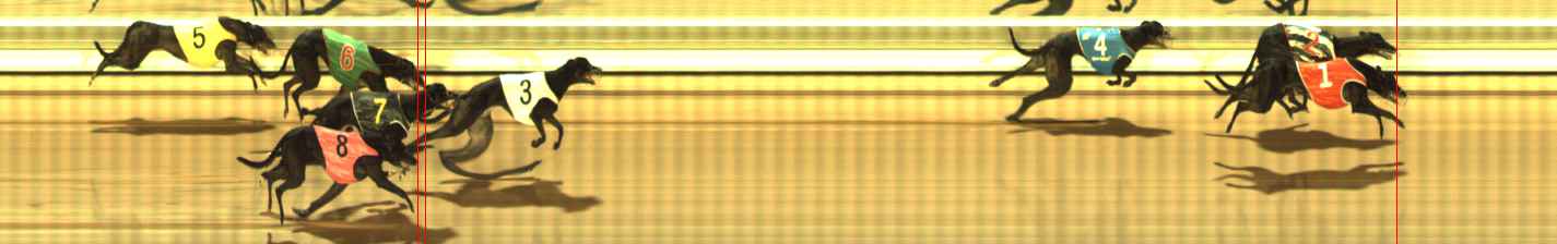 Photo finish for The Meadows Race 5