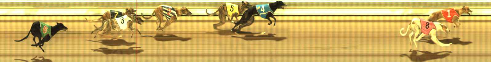 Photo finish for The Meadows Race 6