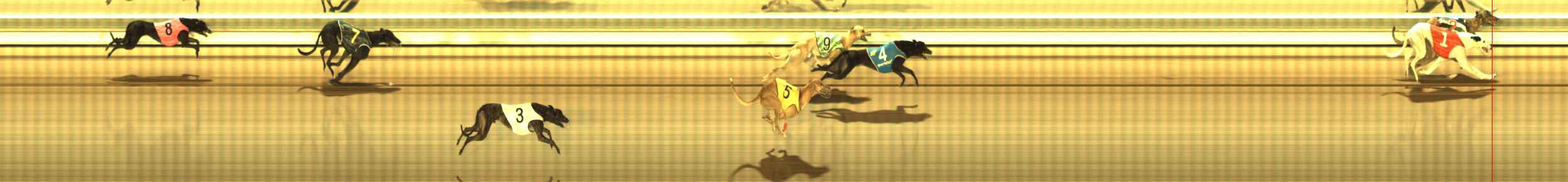 Photo finish for The Meadows Race 7