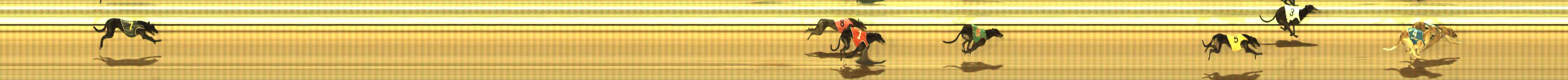 Photo finish for The Meadows Race 9